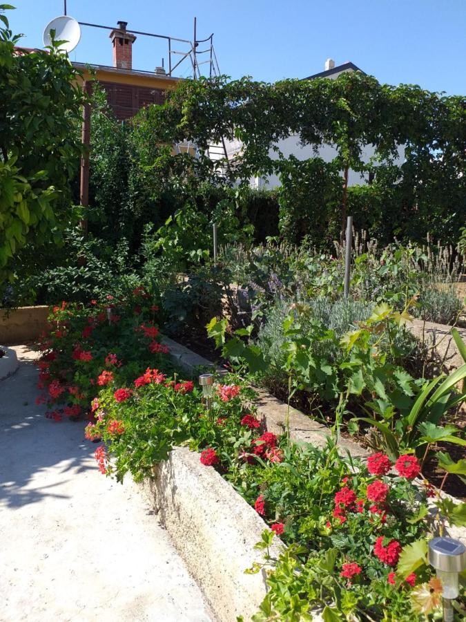 Apartments Jelicic Biograd Na Moru Εξωτερικό φωτογραφία