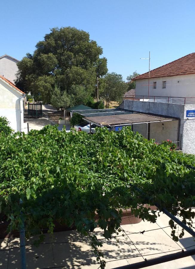 Apartments Jelicic Biograd Na Moru Εξωτερικό φωτογραφία