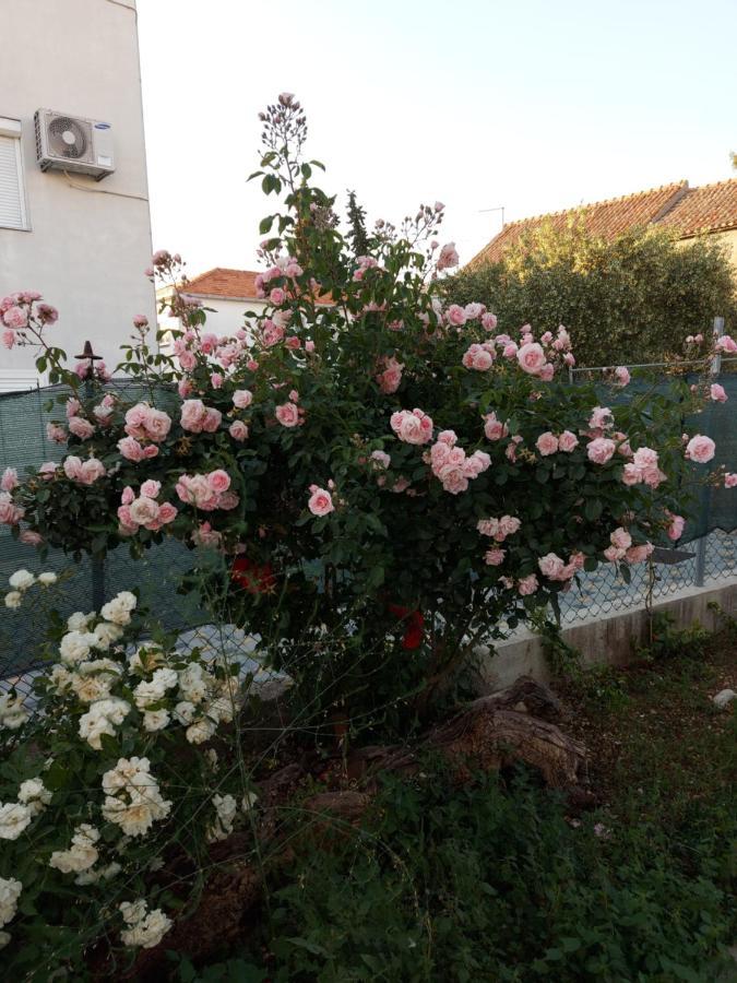 Apartments Jelicic Biograd Na Moru Εξωτερικό φωτογραφία
