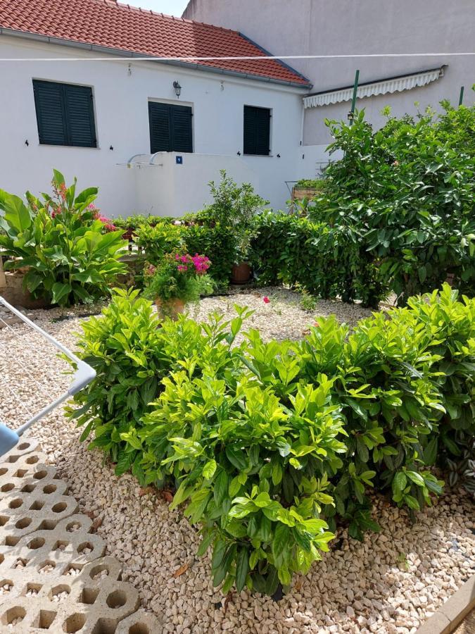 Apartments Jelicic Biograd Na Moru Εξωτερικό φωτογραφία